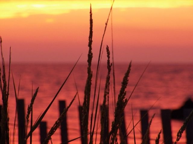 Image of Sunset along Cape Charles Beach